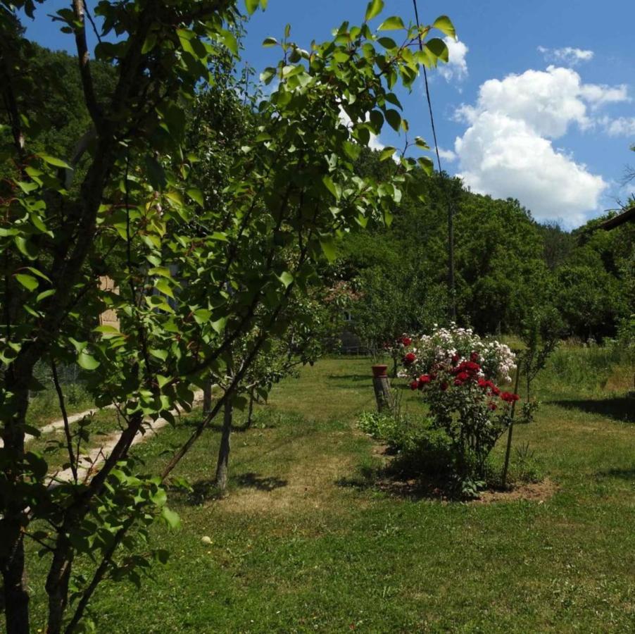 Omar & Una Apartmani Bihać Εξωτερικό φωτογραφία